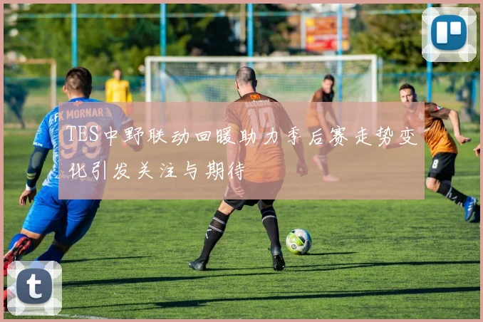 TES中野联动回暖助力季后赛走势变化引发关注与期待